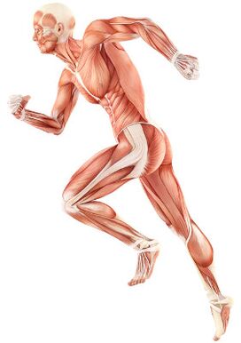 Neuromuscular depreciation violation
