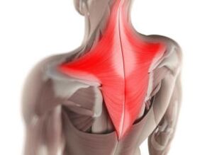 muscle pain as a cause of pain under the left shoulder blade