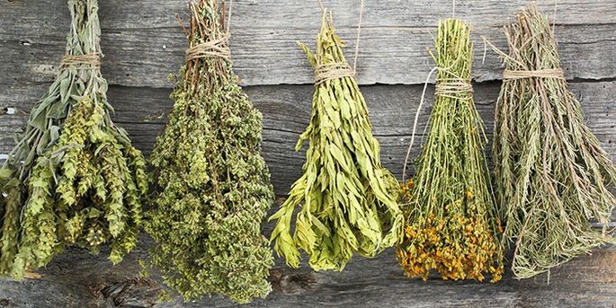 herbs for the treatment of shoulder arthrosis